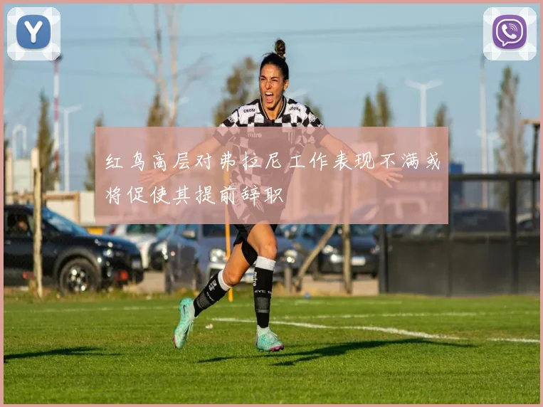 红鸟高层对弗拉尼工作表现不满或将促使其提前辞职