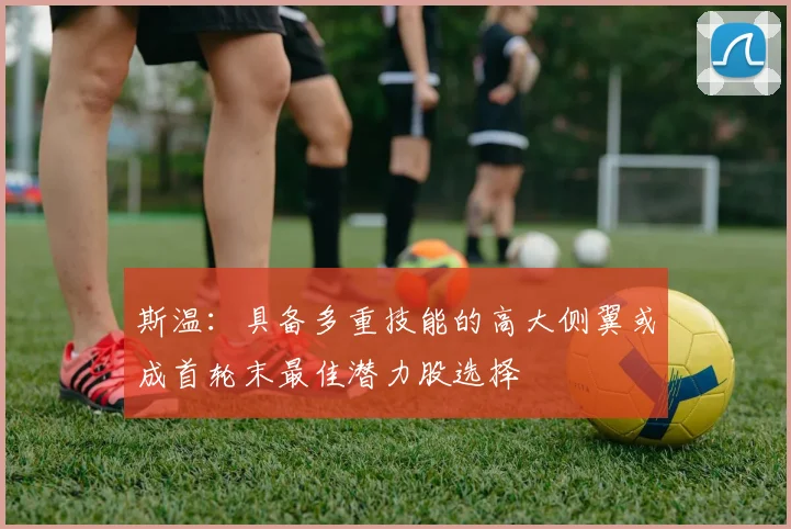 斯温：具备多重技能的高大侧翼或成首轮末最佳潜力股选择